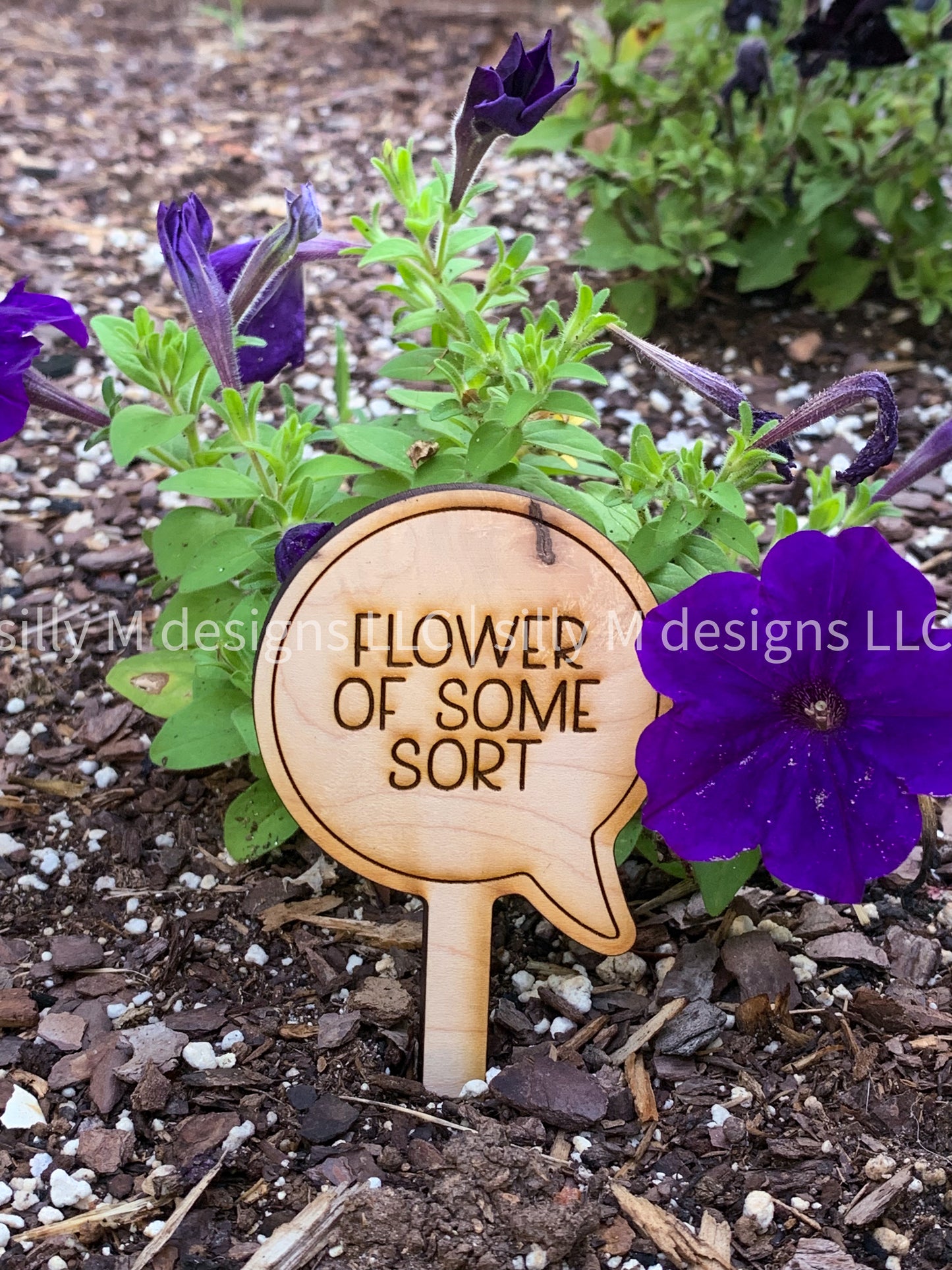 Indoor Funny Plant Stakes