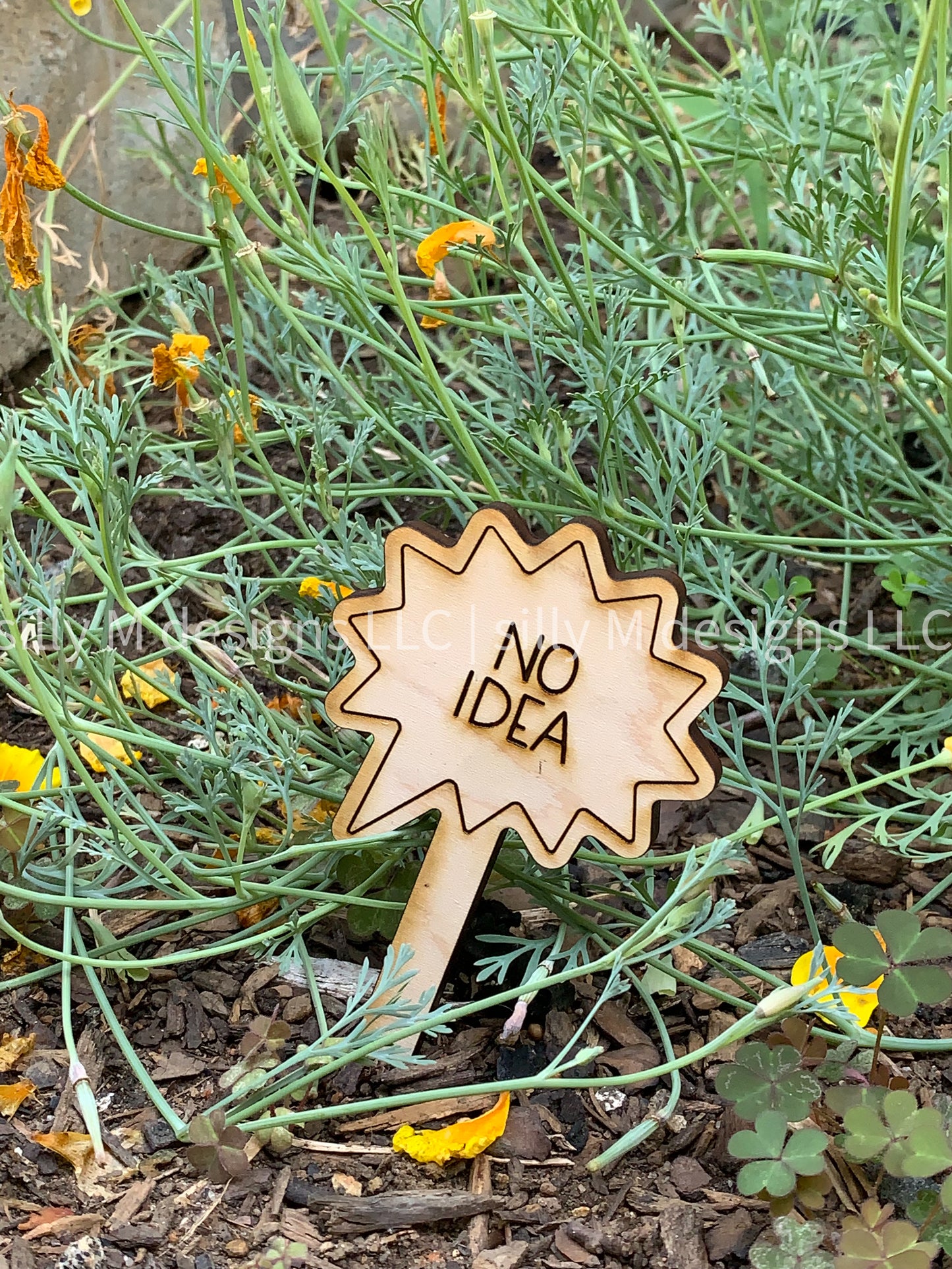 Indoor Funny Plant Stakes