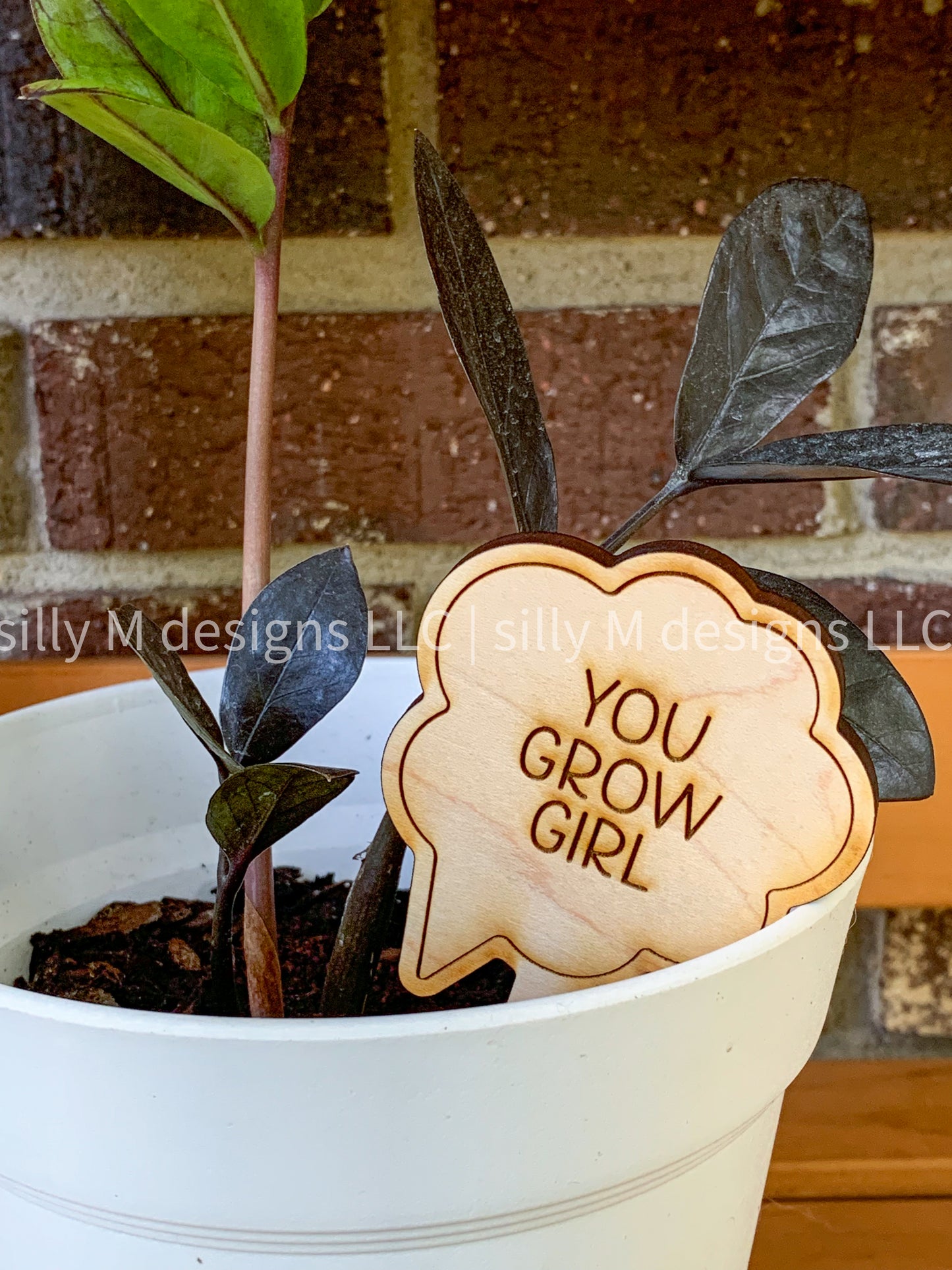 Indoor Funny Plant Stakes