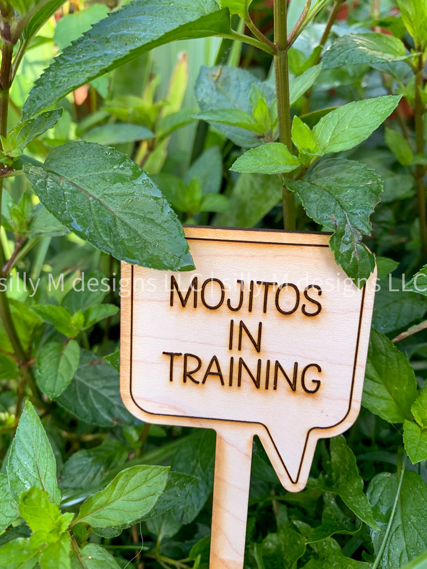 Indoor Funny Plant Stakes
