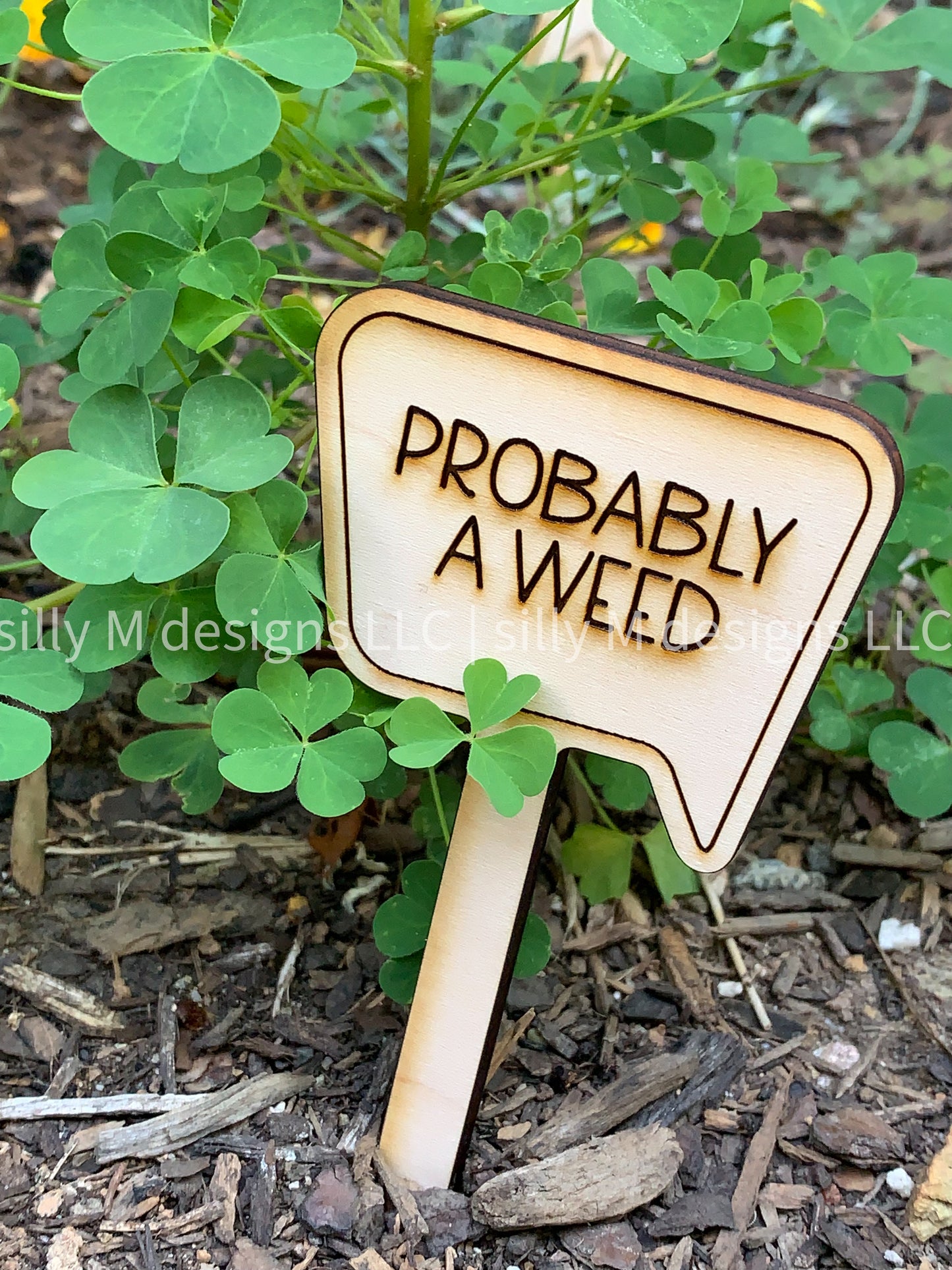 Indoor Funny Plant Stakes