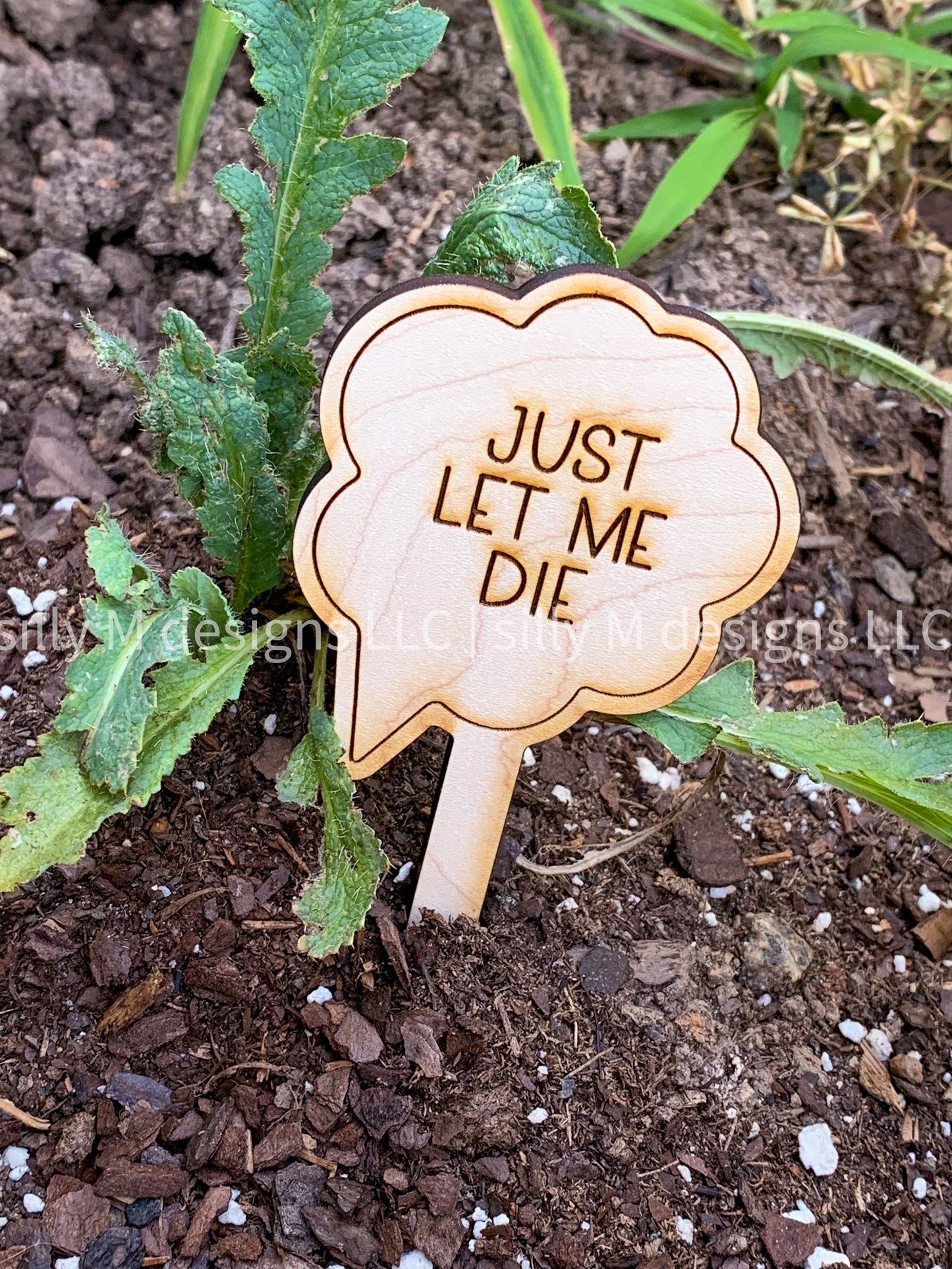 Indoor Funny Plant Stakes
